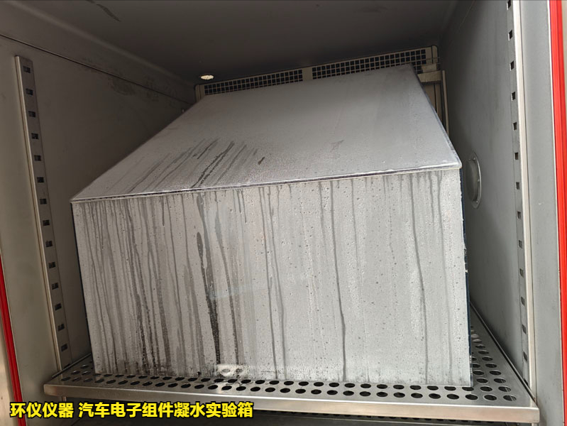 汽车电子组件凝水实验箱在VW80000标准的应用(图4)
