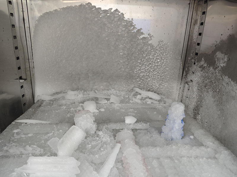 IMG_20250109_100551.jpg IMG_20250109_100551.jpg